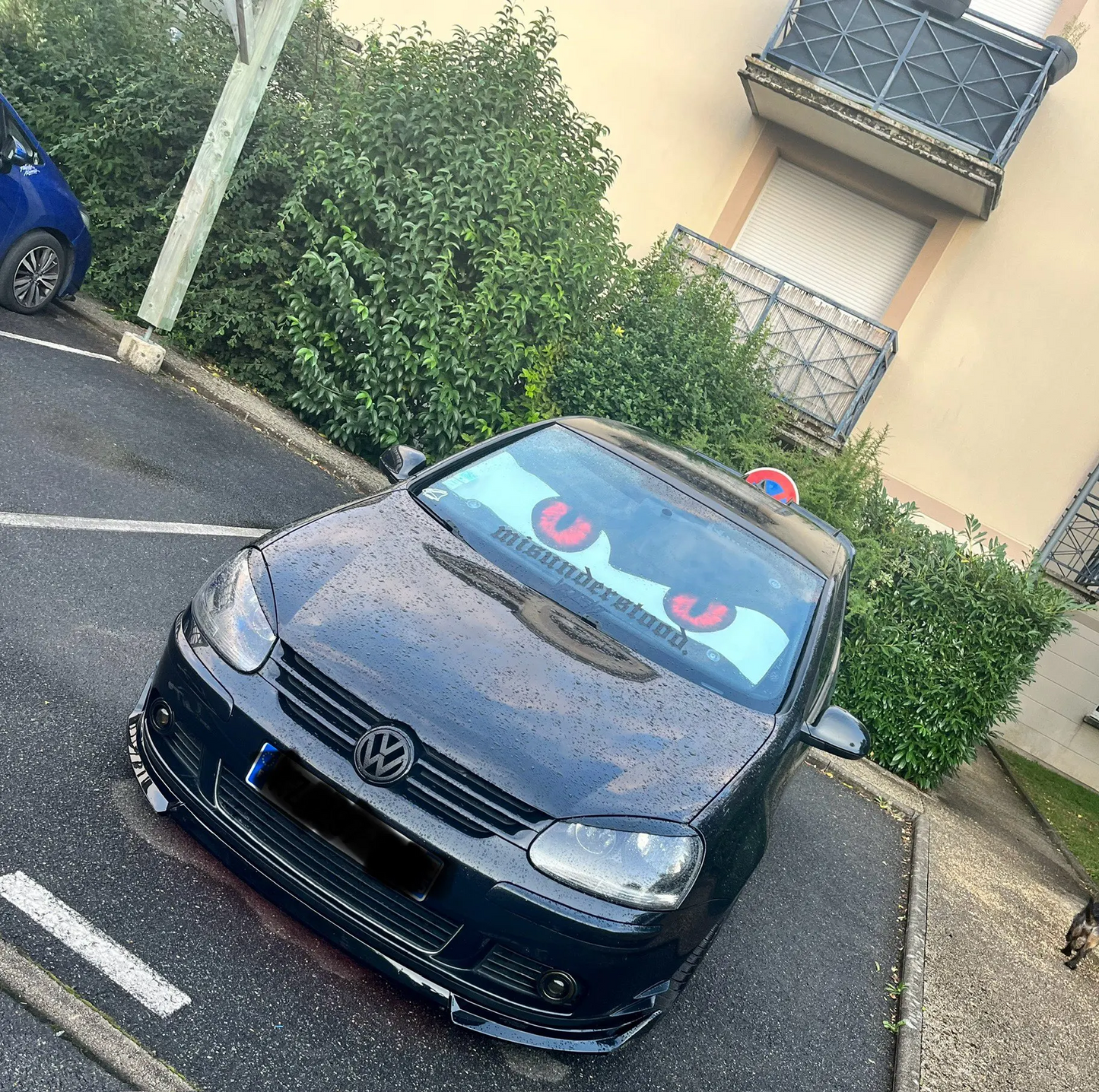 Pestanas Golf V GTI